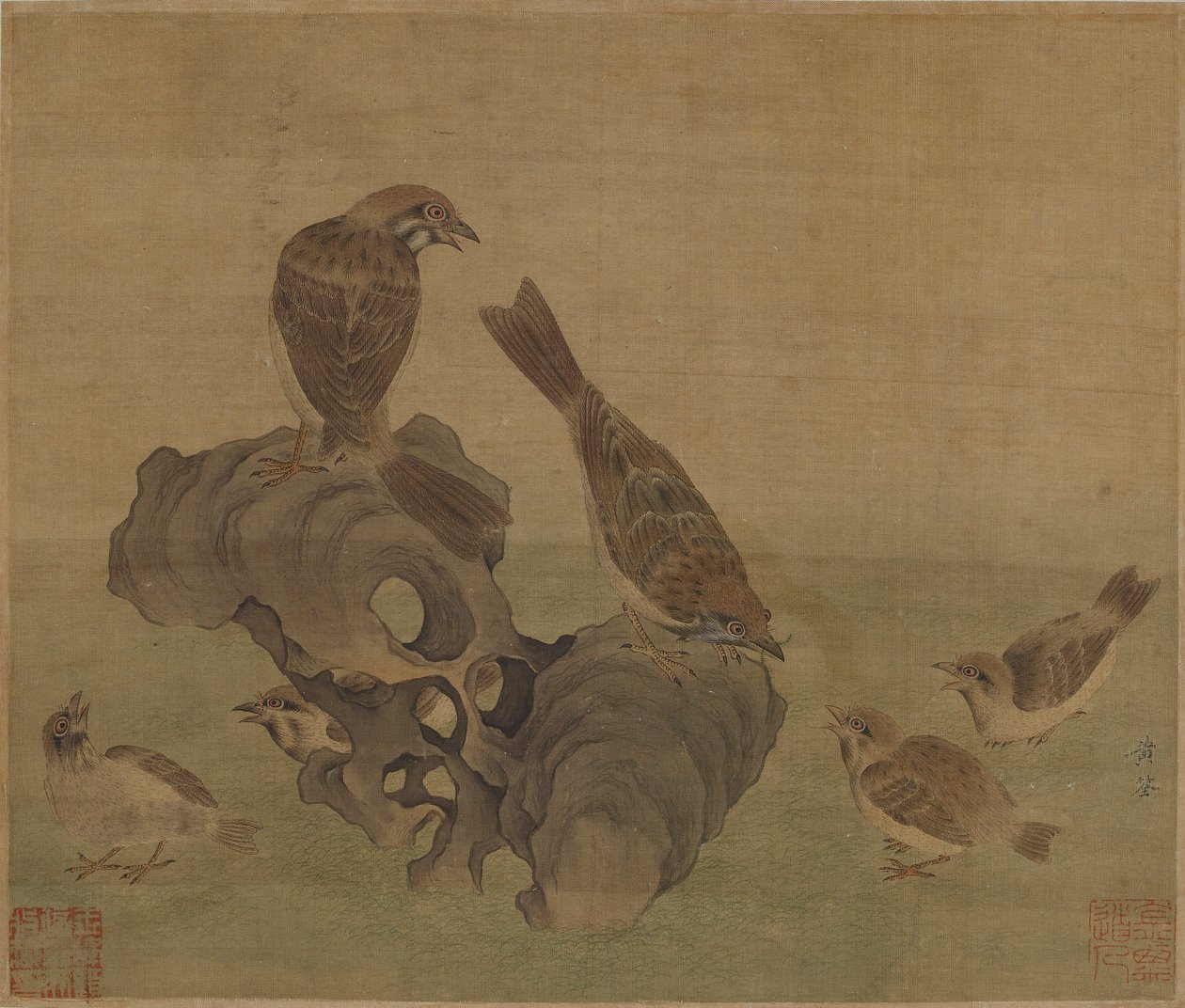 Pardais alimentando seus jovens, dinastias Ming ou Qing de Chinese School