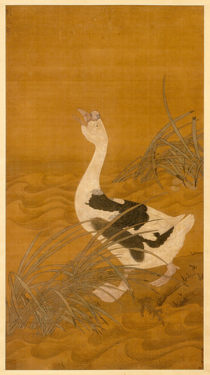 Ganso da cisne entre juncos da água (tinta & cor na seda) de Chinese School