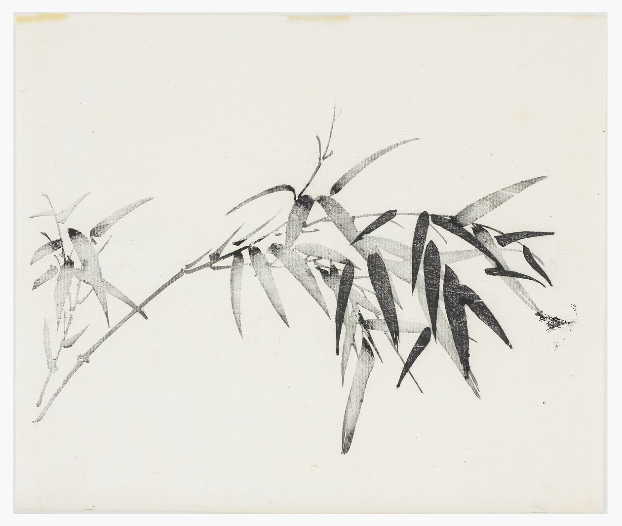 Ten Bamboo Series, século 18 de Chinese School