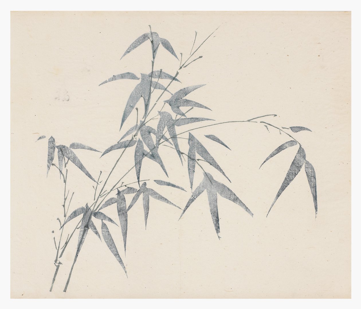Ten Bamboo Series, século 18 de Chinese School