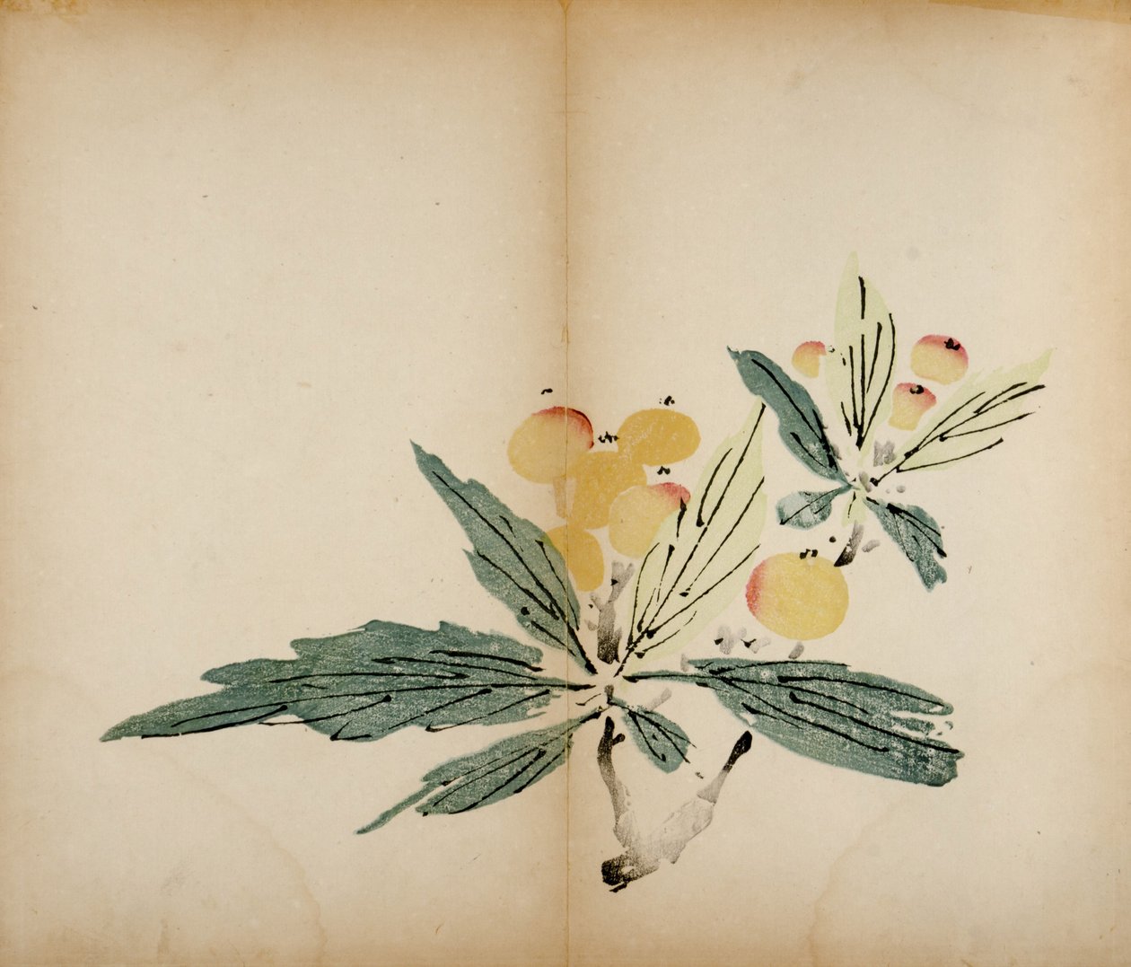Dez estampas de estúdio de bambu, 1643 (xilogravura) de Chinese School