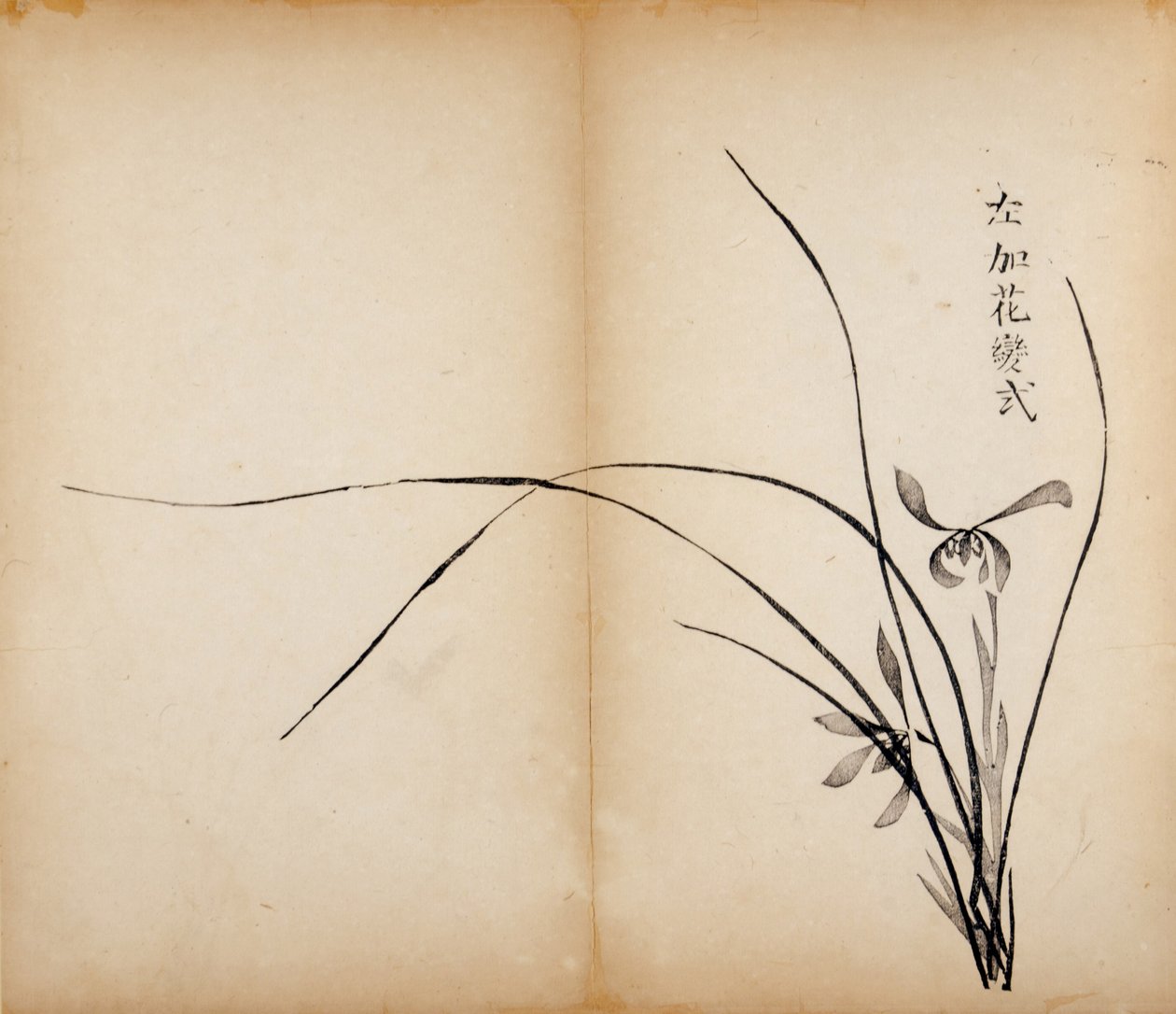 Dez estampas de estúdio de bambu, 1643 (xilogravura) de Chinese School