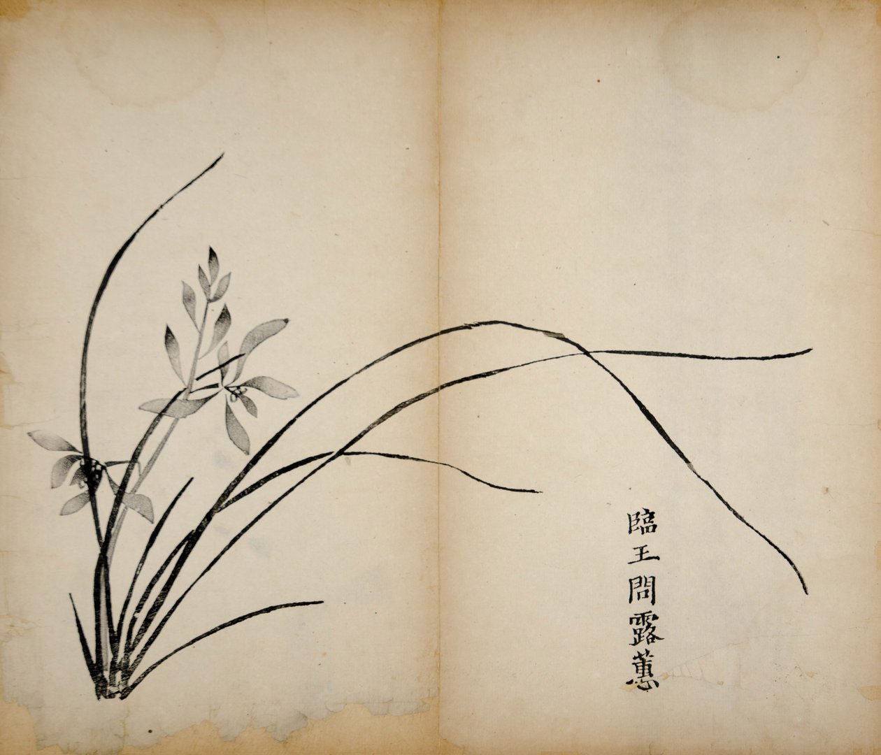 Dez estampas de estúdio de bambu, 1643 (xilogravura) de Chinese School