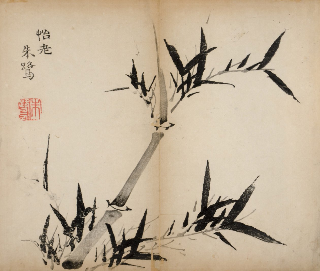 Dez estampas de estúdio de bambu, 1643 (xilogravura) de Chinese School