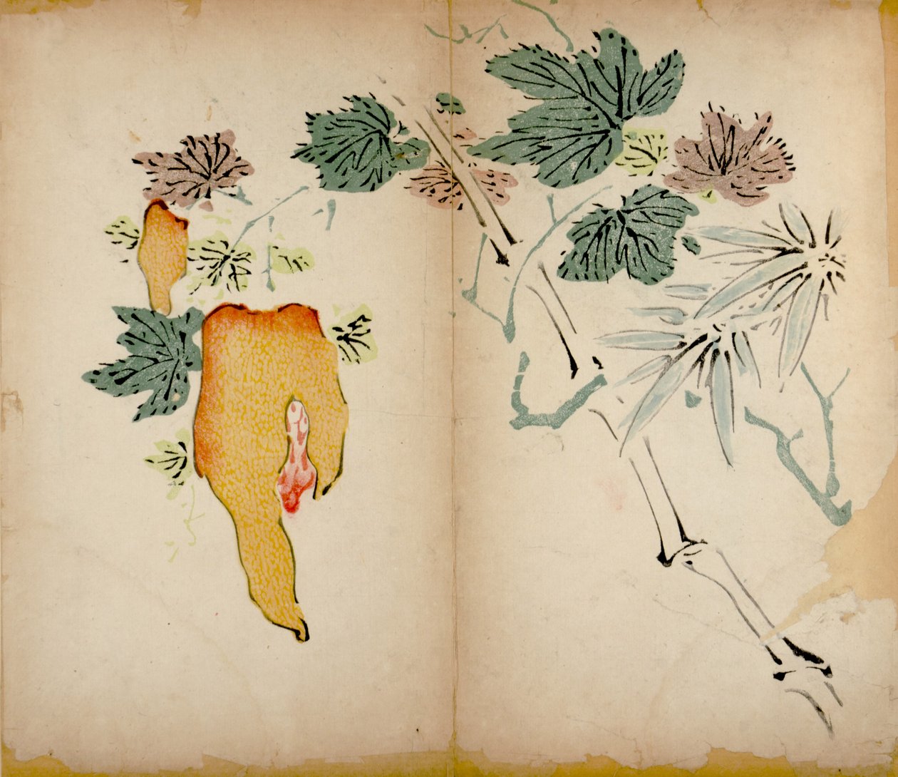 Dez estampas de estúdio de bambu, 1643 (xilogravura) de Chinese School