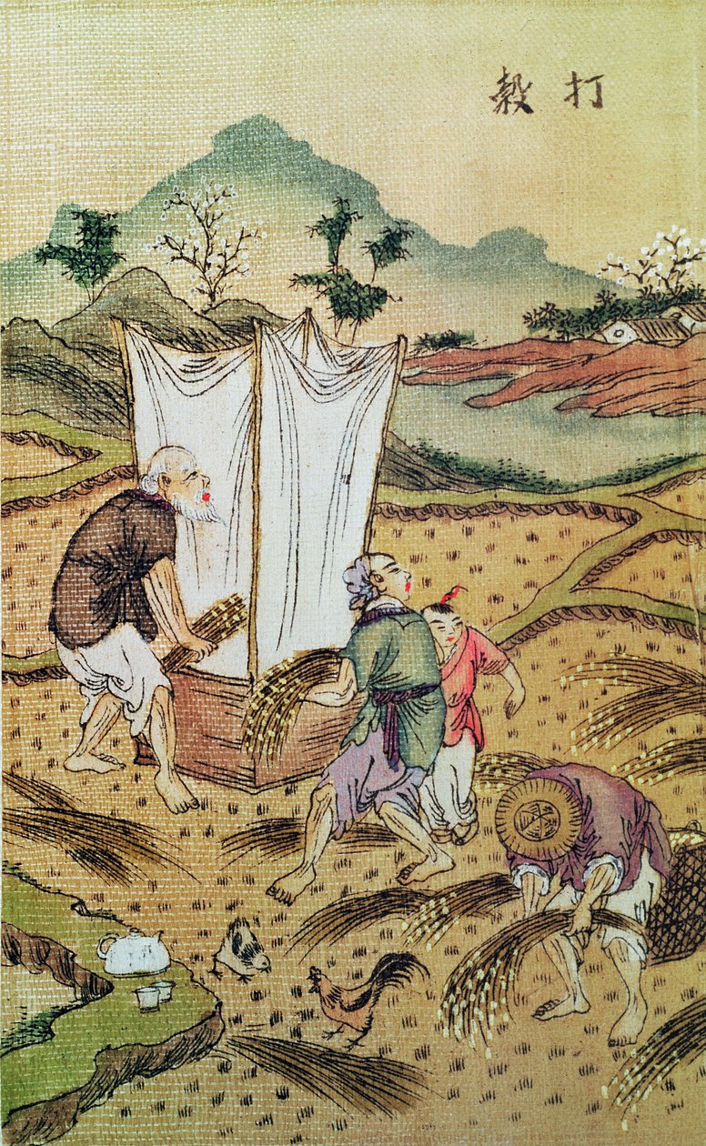 A história do arroz de Chinese School