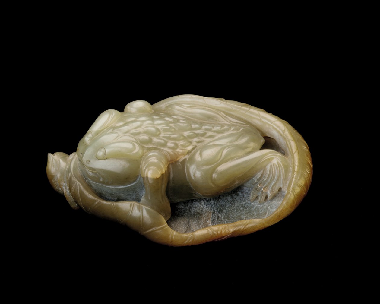 Sapo em uma folha de lótus, 1500-1700 de Chinese School