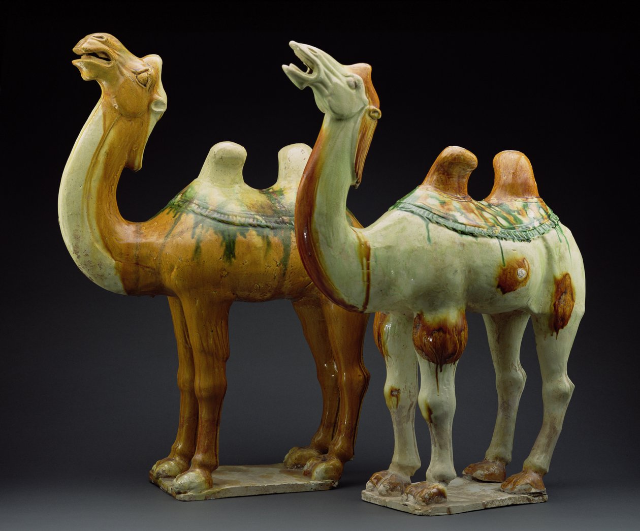 Dois camelos, dinastia de espiga (618-907) (louça de barro vidrada) de Chinese School