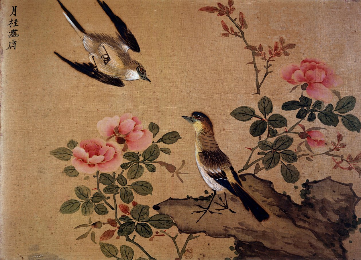 Imagem desconhecida de Chinese School