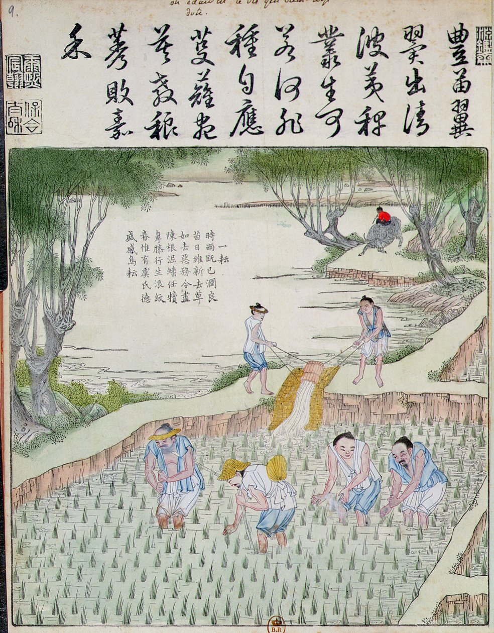 Remoção de ervas daninhas, a cultura do arroz na China (impressão em xilogravura a cores) de Chinese School