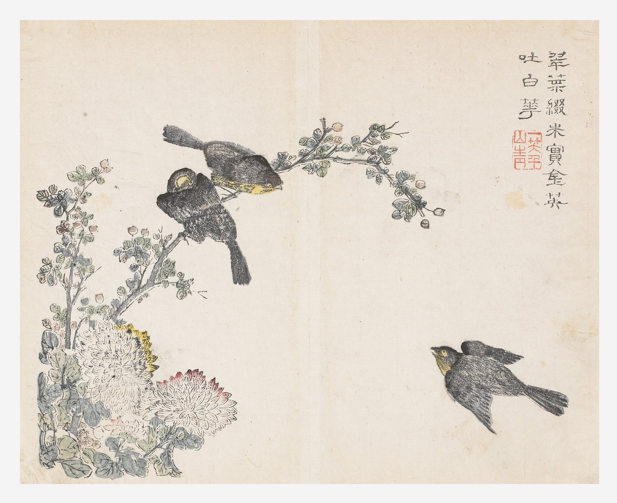 Jardim de Sementes de Mostarda de Ching yu Chiu