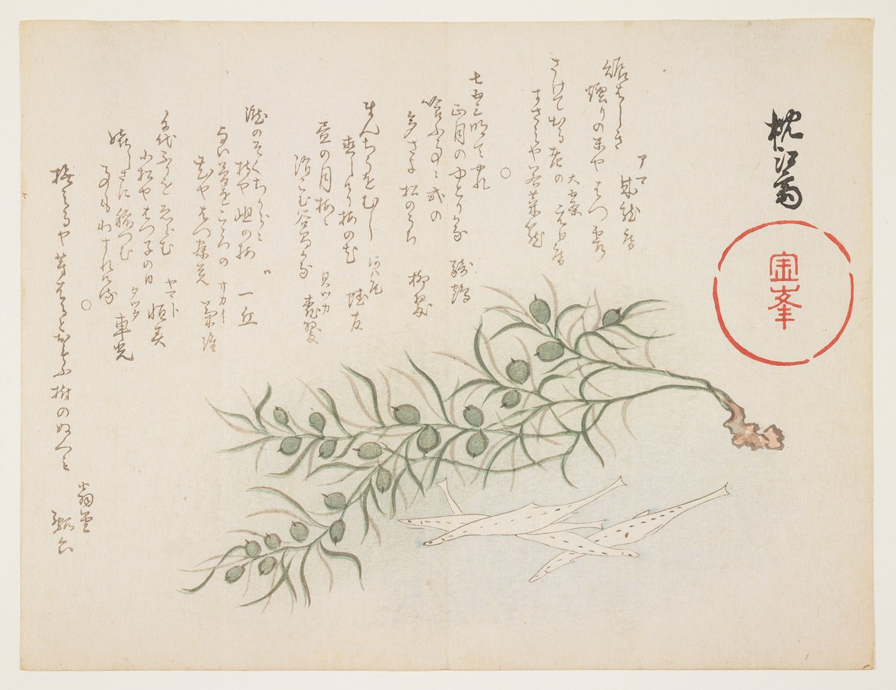 Pequenos peixes brancos e ervas daninhas, c.1854-59 (impressão em xilogravura a cores) de Chinksai