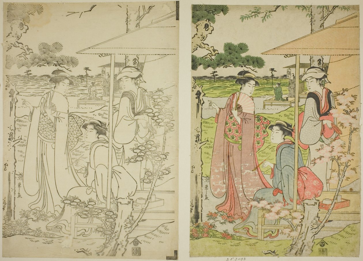 Vendo as flores de cerejeira de uma casa de chá em Asuka Hill de Chobunsai Eishi