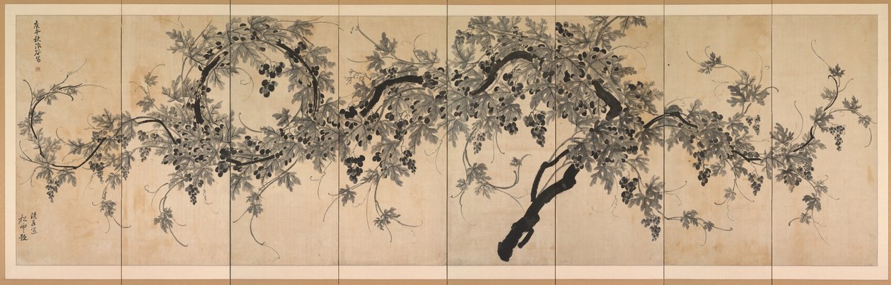 Videira de Choe Seok hwan