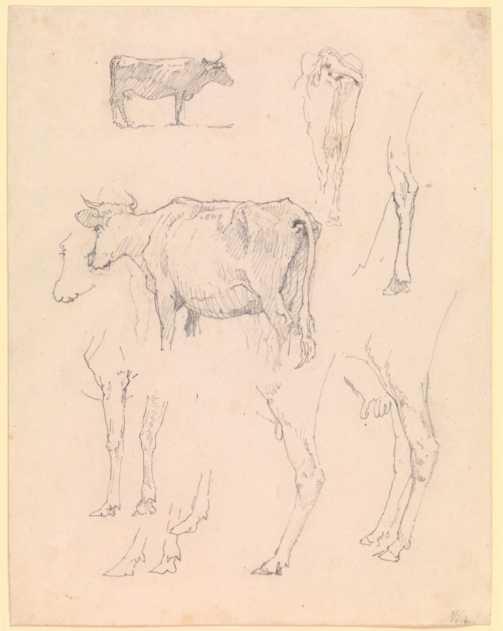 Vacas de Christen Købke