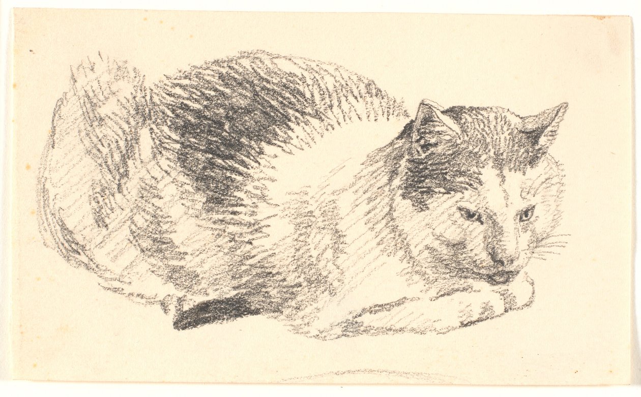 gato deitado de Christen Købke