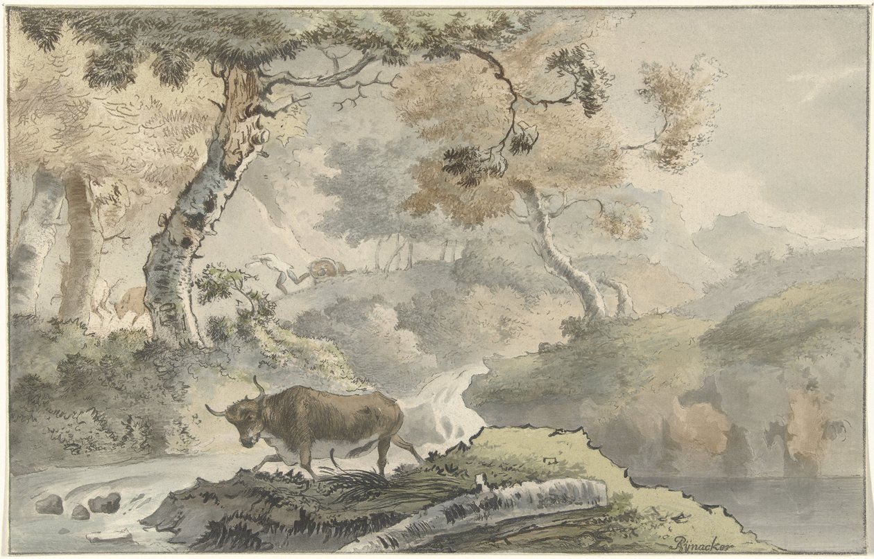 Paisagem da floresta com touro de Christiaan Josi