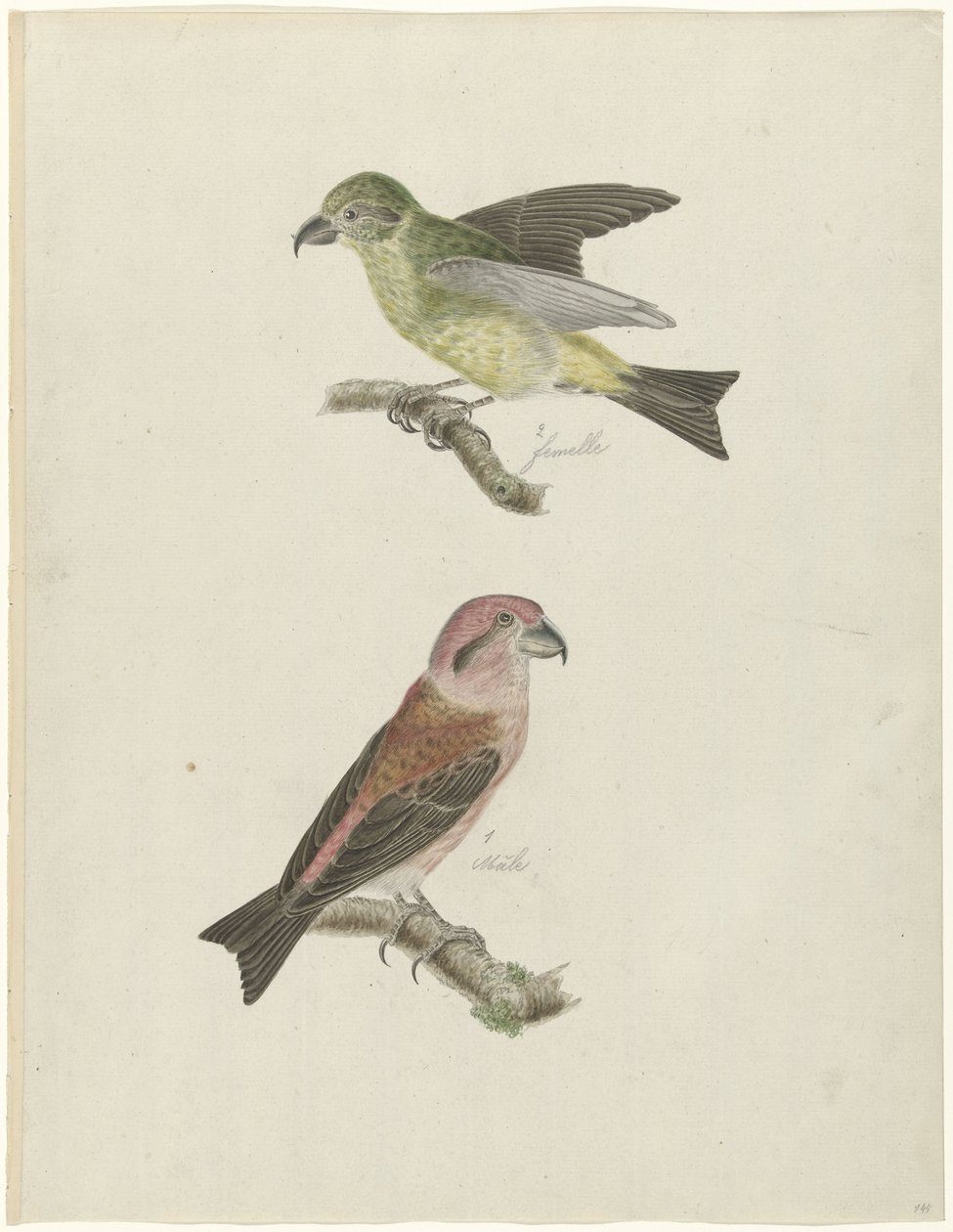 Duas notas cruzadas de Christiaan Sepp (possibly)