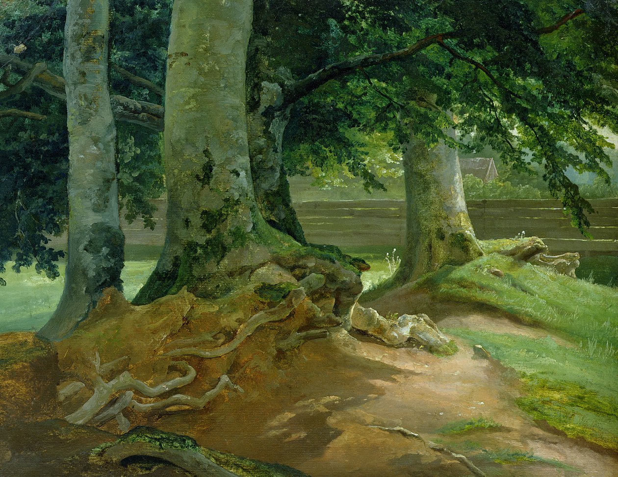Faias em Frederiksdal perto de Copenhaga, 1828 (óleo sobre papel montado no cartão) de Christian Ernst Bernhard Morgenstern