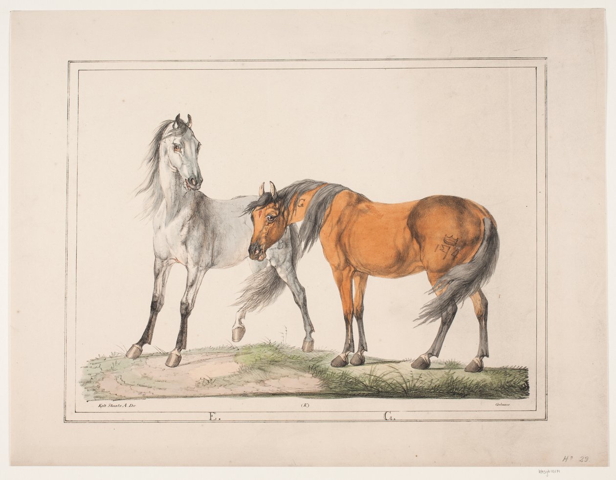 Os cavalos E & G de Christian David Gebauer
