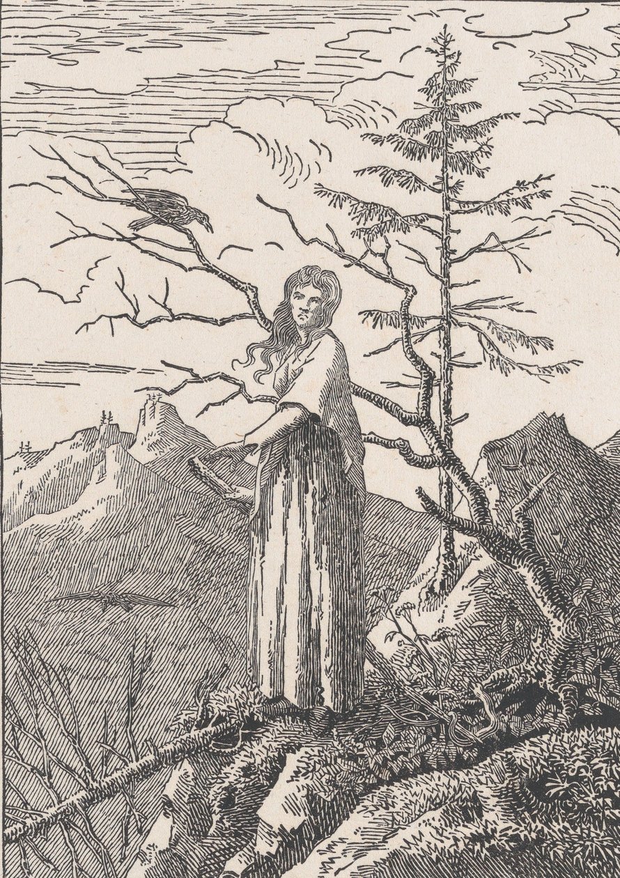Floresta. de Christian Friedrich