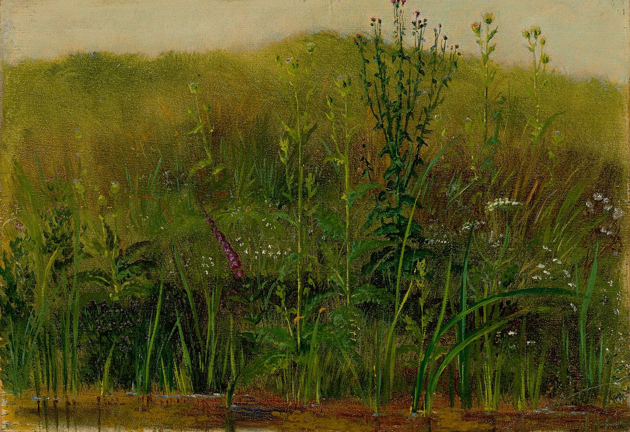 Plantas na margem de Christian Friedrich Gille