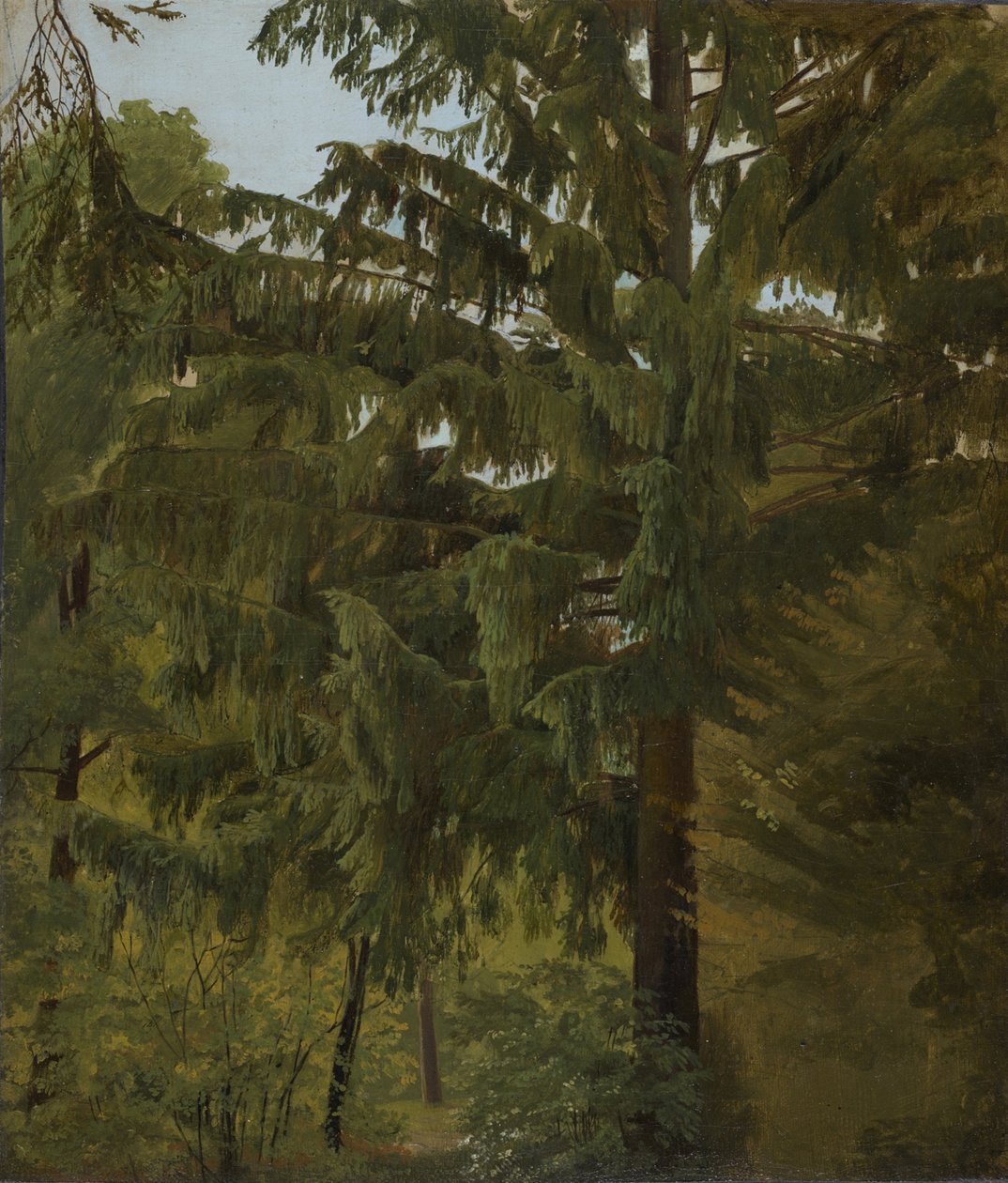 Abeto em floresta decídua de Christian Friedrich Gille