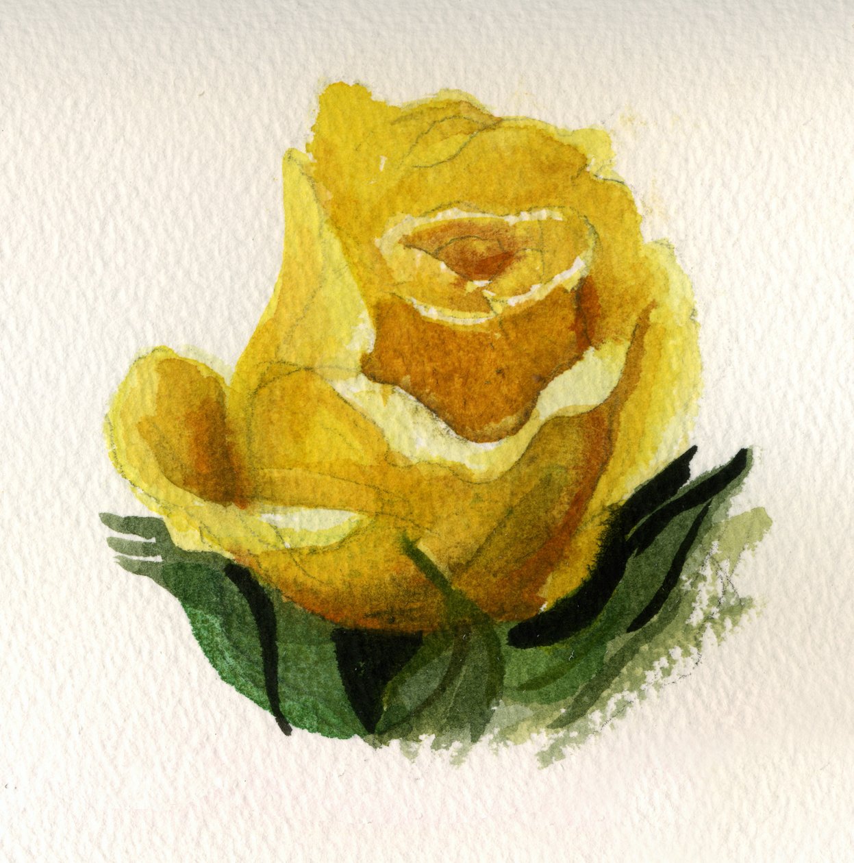Rosa Amarela, 2009 (aguarela sobre papel) de Christian Furr