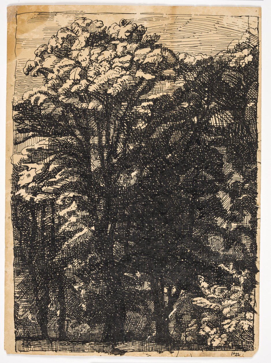 Árvores de Christian Kongstad Petersen