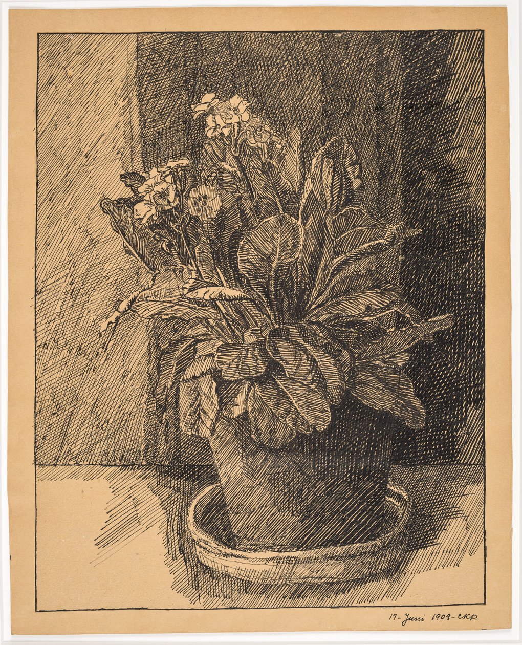 vaso de flores com prímula de Christian Kongstad Petersen