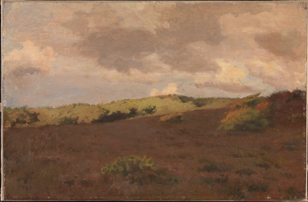 Paisagem da charneca. Cair de Christian Mourier Petersen