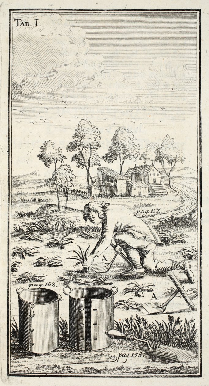 Jardineiro Colheita, pub. Erfurt na Turíngia, 1753-55 de Christian Reicharts