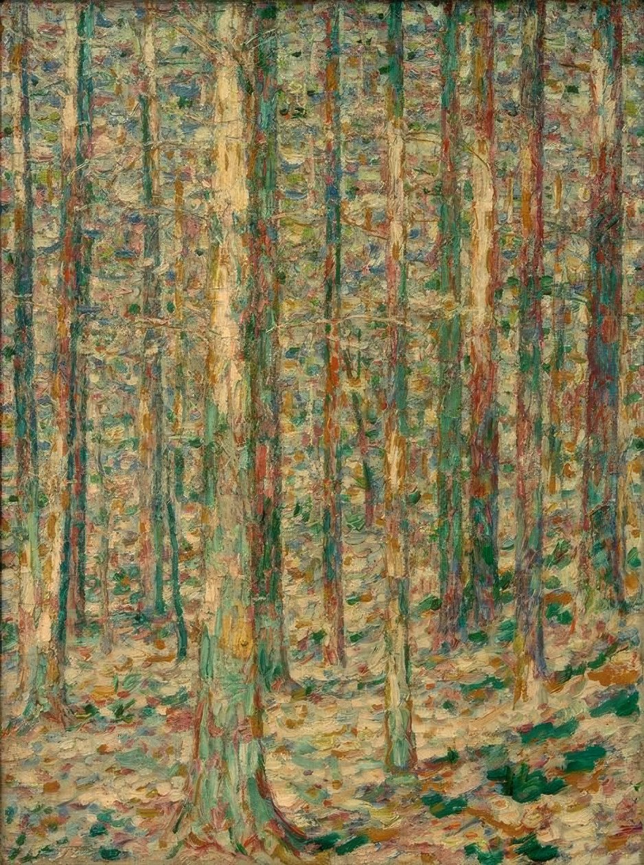 Troncos de pinheiro à luz do sol de Christian Rohlfs