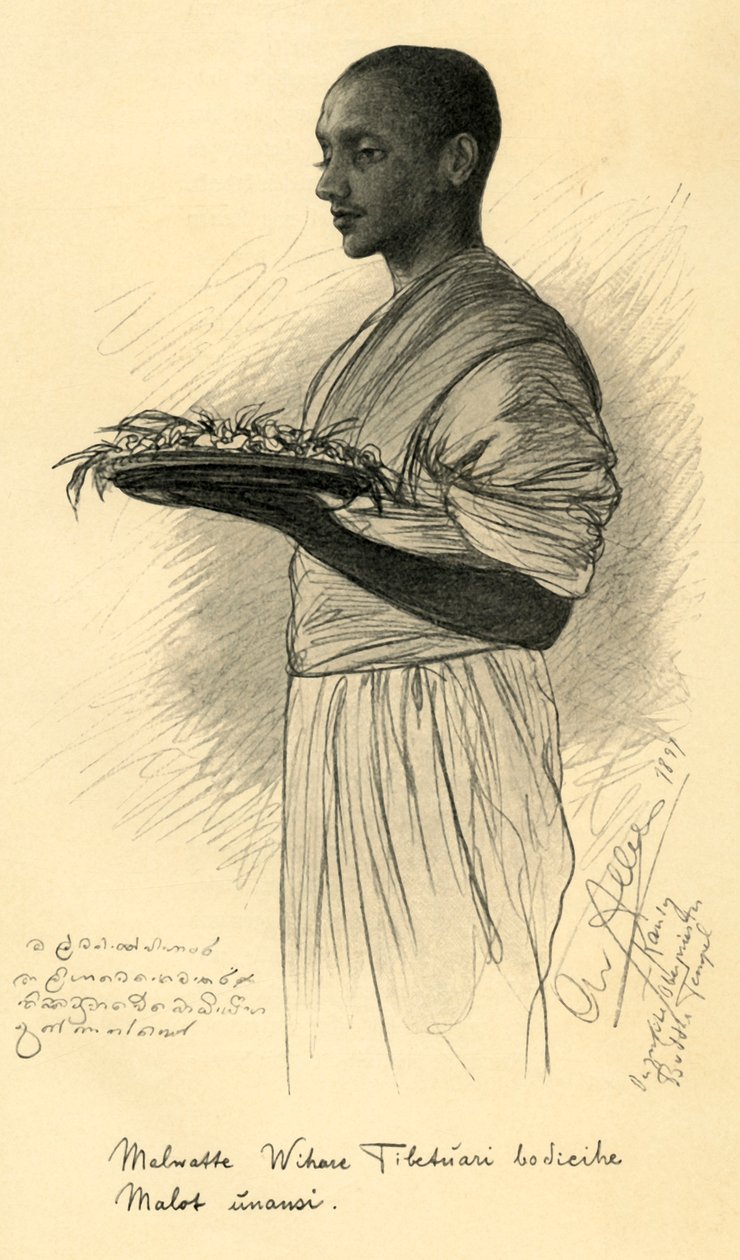 Floresta. de Christian Wilhelm Allers