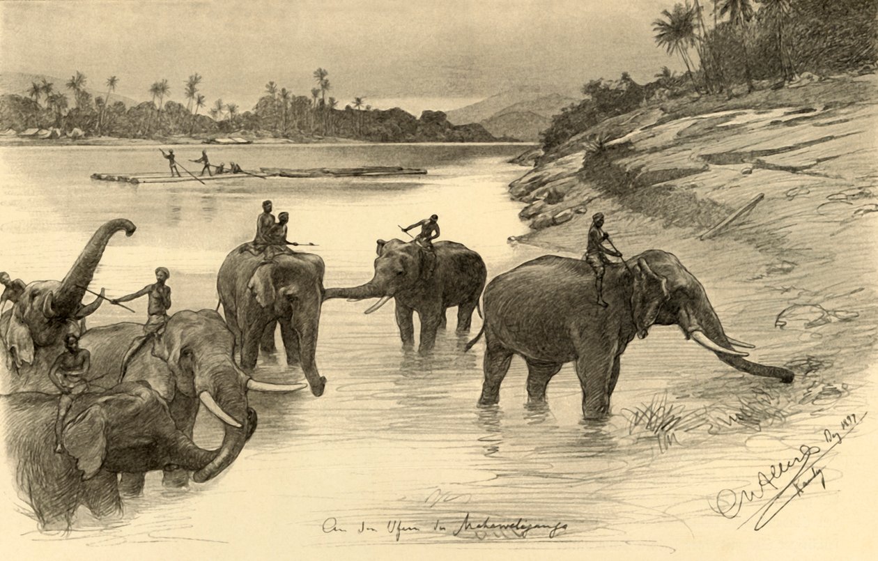 Elefantes nas margens do rio Mahaweli, Ceilão, 1898. de Christian Wilhelm Allers