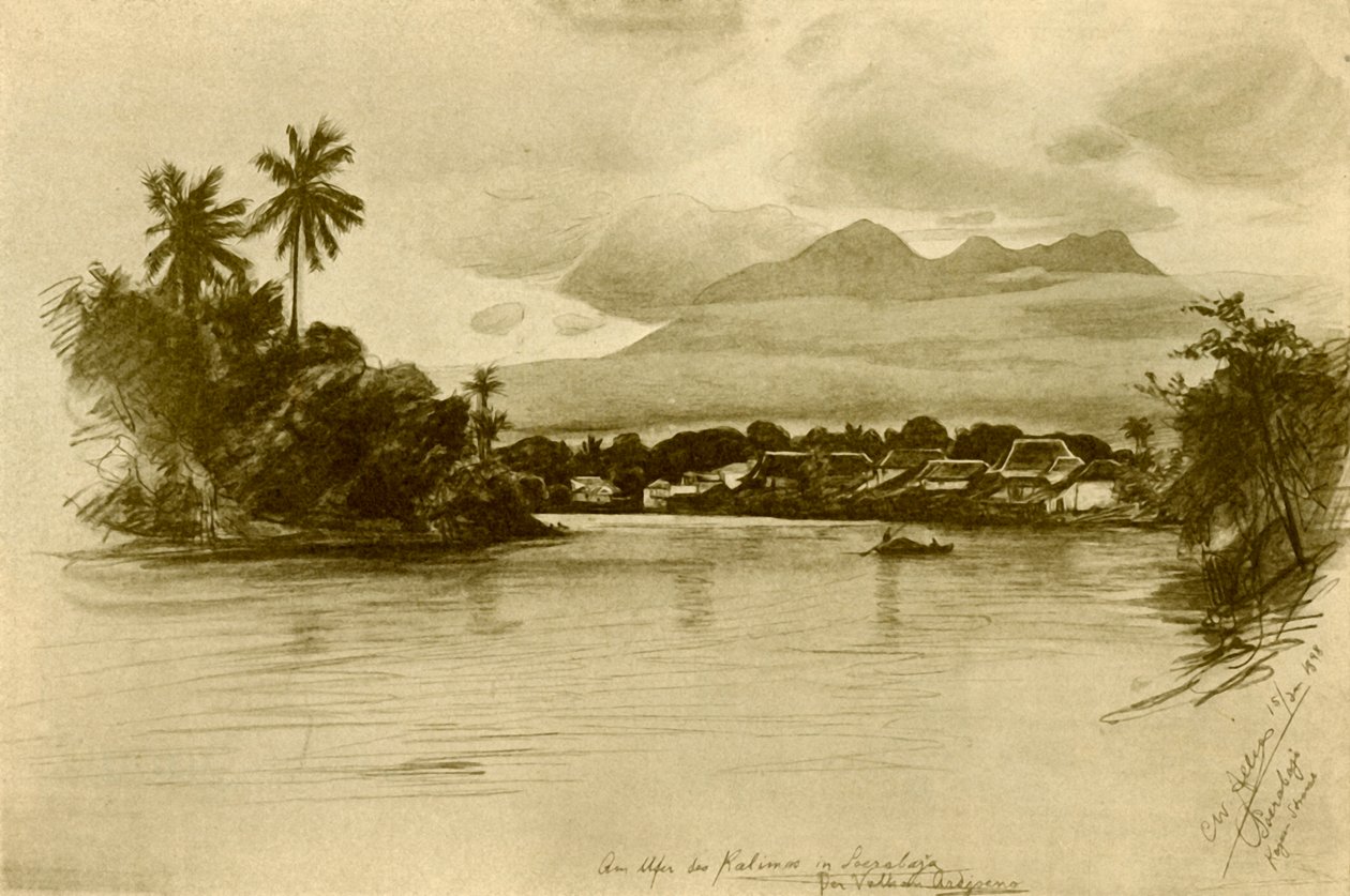 Floresta. de Christian Wilhelm Allers