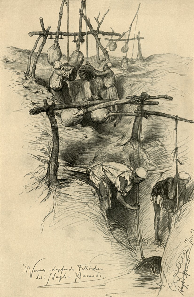 Floresta. de Christian Wilhelm Allers