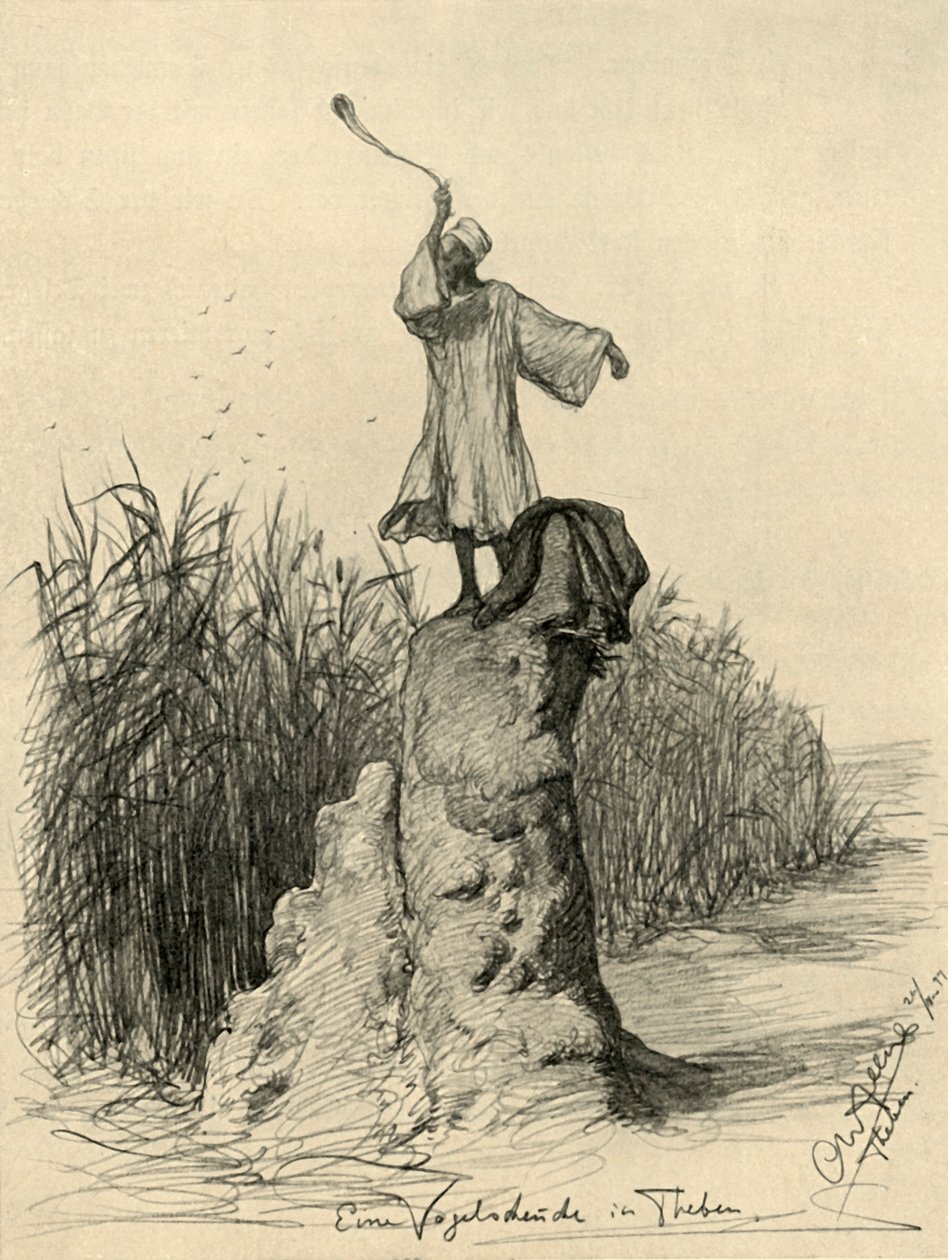 Homem assustando pássaros, Tebas, Egito, 1898. de Christian Wilhelm Allers