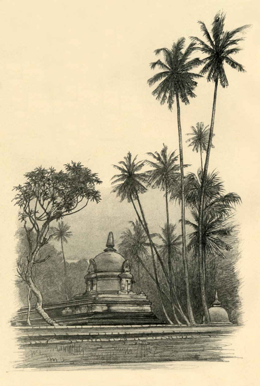 Floresta. de Christian Wilhelm Allers