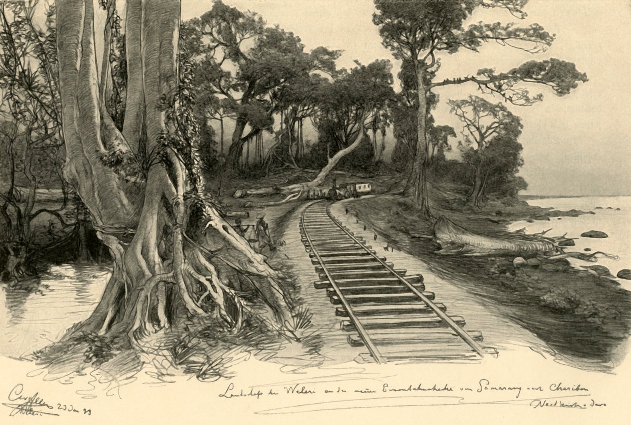 Floresta. de Christian Wilhelm Allers