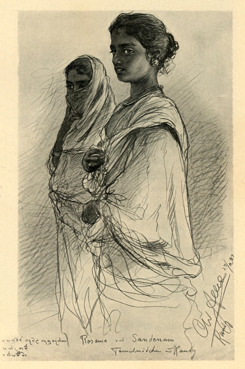 Floresta. de Christian Wilhelm Allers