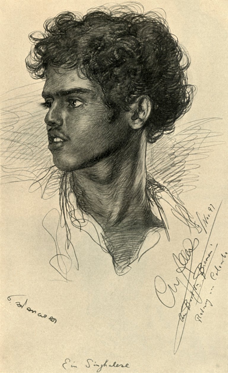 Floresta. de Christian Wilhelm Allers