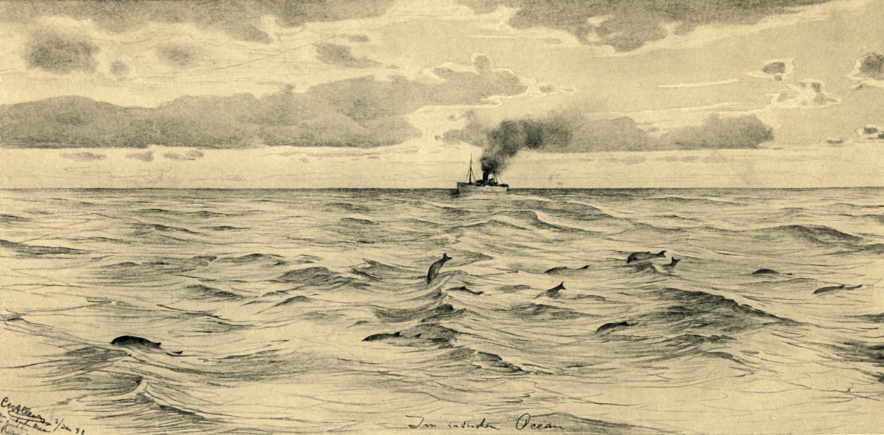 Navio a vapor no Oceano Índico, 1898. de Christian Wilhelm Allers