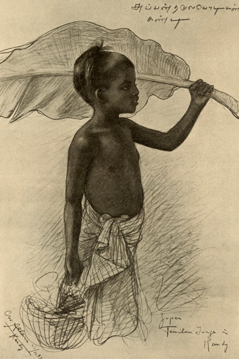 Menino tâmil, Kandy, Ceilão, 1898. de Christian Wilhelm Allers