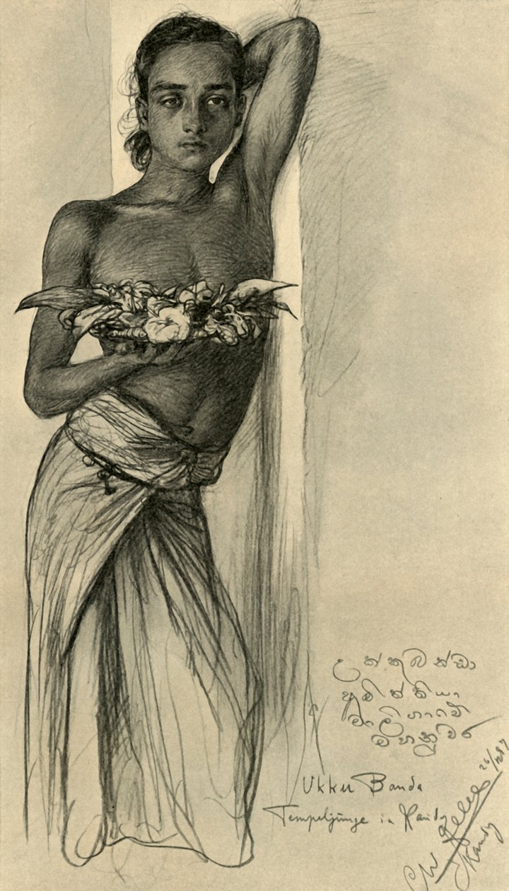 Floresta. de Christian Wilhelm Allers