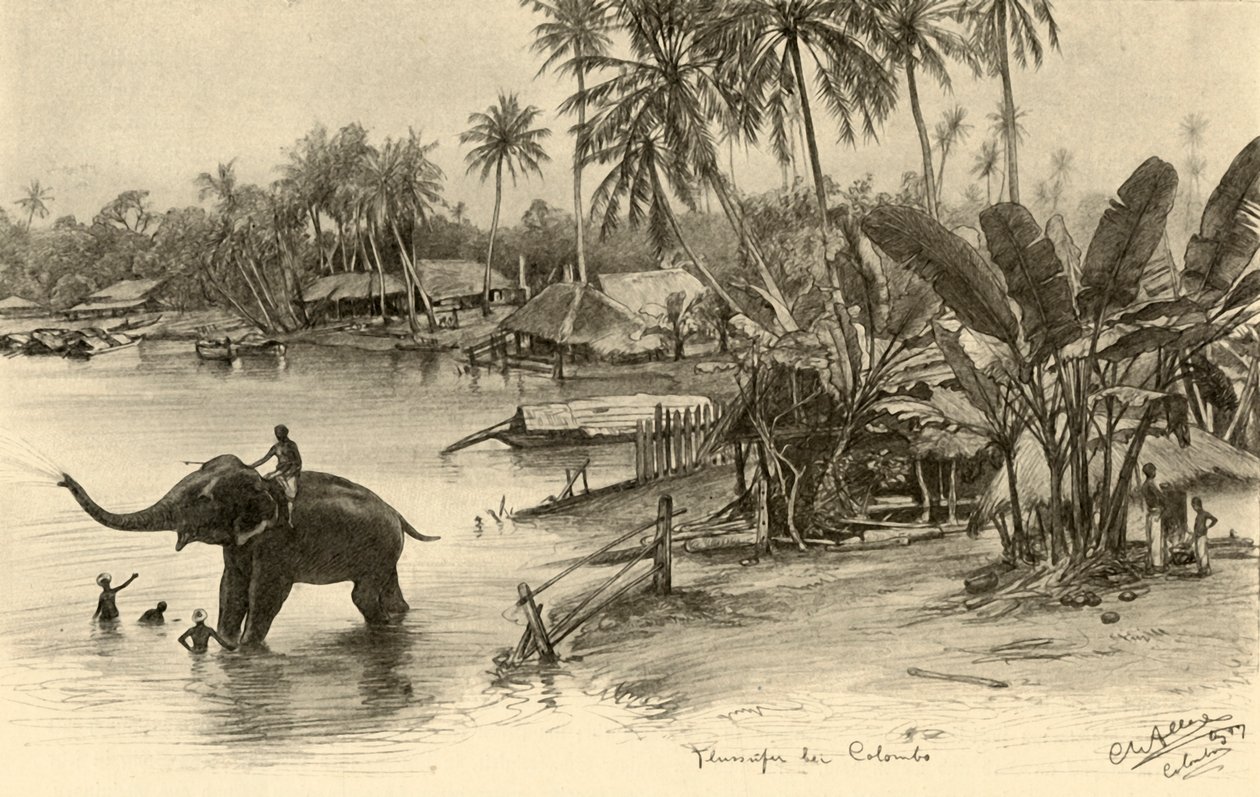 Lavando um elefante no rio, Colombo, Ceilão, 1898. de Christian Wilhelm Allers