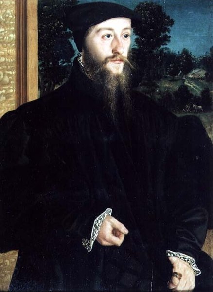 Retrato de um Cavalheiro Barbudo de Christoph Amberger