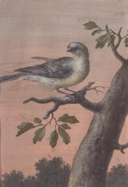 Um pássaro em um ramo, (guache), (veja também 60075) de Christoph Ludwig Agricola
