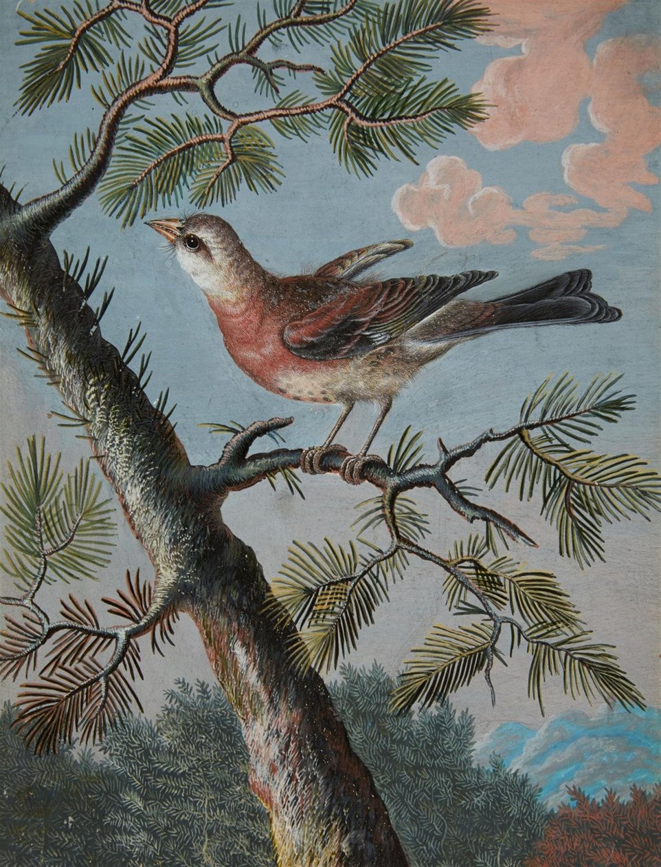 Pássaro canoro numa árvore perene de Christoph Ludwig Agricola