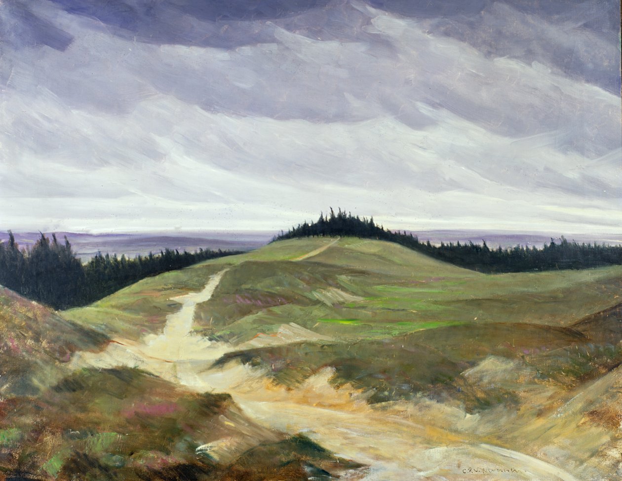 Sandy Path de Christopher Richard Wynne Nevinson